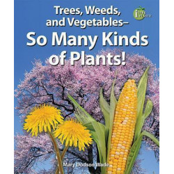 Trees, Weeds, and Vegetables-so Many Kinds of Plants!