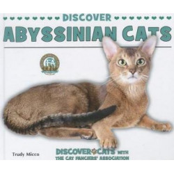 Discover Abyssinian Cats