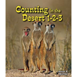 Counting in the Desert 1-2-3
