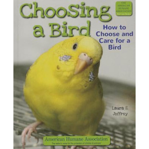 Choosing a Bird
