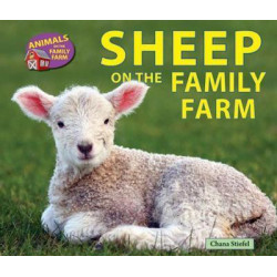Sheep on the Family Farm