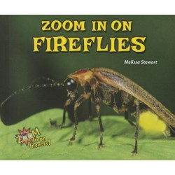 Zoom in on Fireflies
