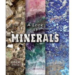 A Look at Minerals
