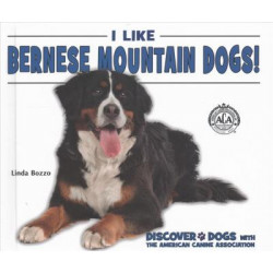 I Like Bernese Mountain Dogs!