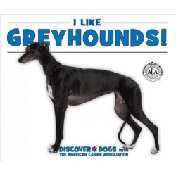 I Like Greyhounds!