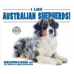 I Like Australian Shepherds!
