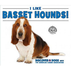 I Like Basset Hounds!