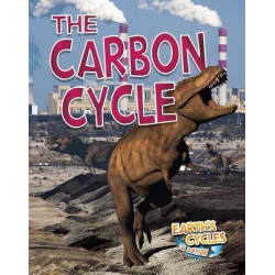 Earth's Carbon Cycle