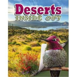 Deserts Inside Out