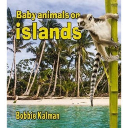 Baby Animals on Islands