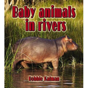 Baby Animals in Rivers