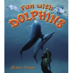 Fun with Dolphins