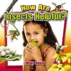 How are Insects Helpful?