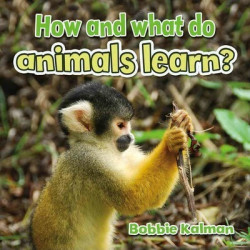 How and What do Animals Learn?