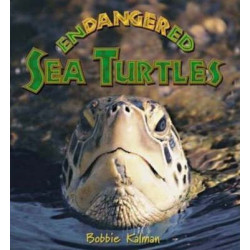 Endangered Sea Turtles