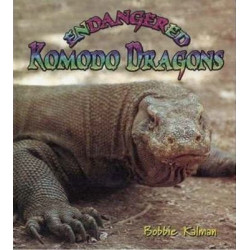 Endangered Komodo Dragons