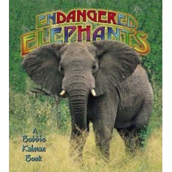 Endangered Elephants