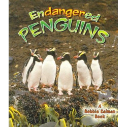Endangered Penguins