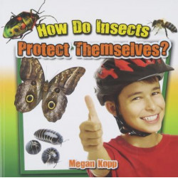 How Do Insects Protect Themselves?
