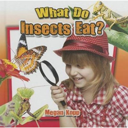 What Do Insects Eat?