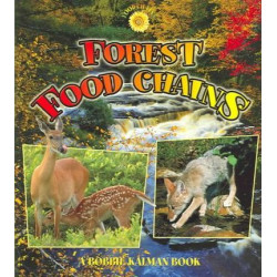 Forest Food Chains