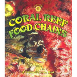Coral Reef Food Chains