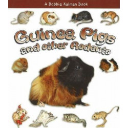 Guinea Pigs and Other Rodents