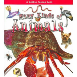 Many Kinds of Animals