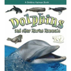 Dolphins and Other Marine Mammals