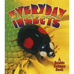 Everyday Insects