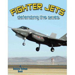 Fighter Jets Defending the Skies