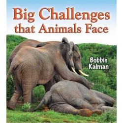 Big Challenges That Animals Face