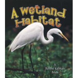 Wetland Habitat