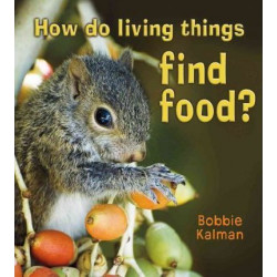 How Do Living Things Find Food?