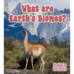 What are Earth's Biomes?