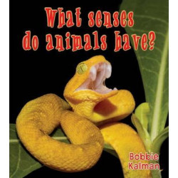 What Senses Do Animals Have?