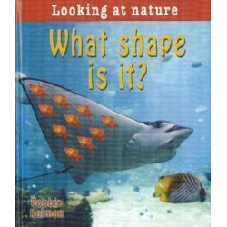 What Shape is It?