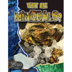 What are Minerals?