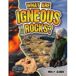 What are Igneous Rocks?