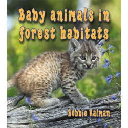 Baby Animals in Forest Habitats