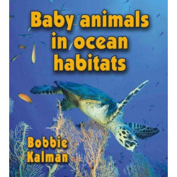 Baby Animals in Ocean Habitats