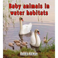 Baby Animals in Water Habitats