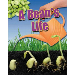 A Bean's Life