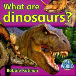 What are Dinosaurs?