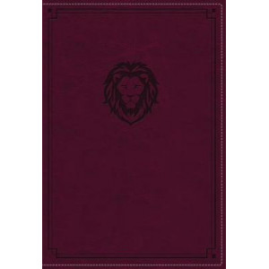 NKJV, Thinline Bible Youth Edition, Leathersoft, Burgundy, Red Letter Edition, Comfort Print