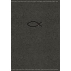 KJV, Thinline Bible Youth Edition, Leathersoft, Gray, Red Letter Edition, Comfort Print