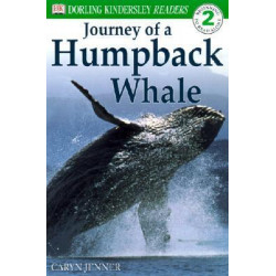The Journey of a Humpback Whale