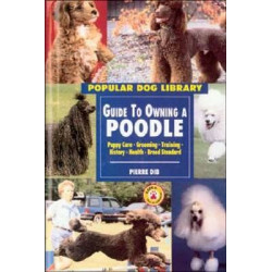 Guide to Owning a Poodle