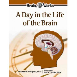 A Day in the Life of the Brain