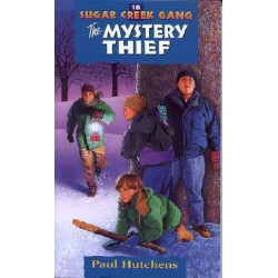 The Mystery Thief